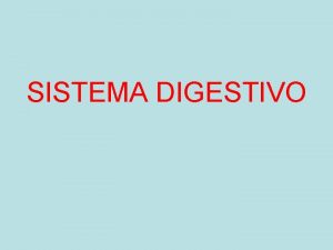 SISTEMA DIGESTIVO O sistema digestivo responsvel pela transformao