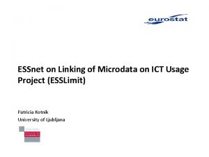 ESSnet on Linking of Microdata on ICT Usage