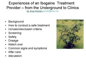 Experiences of an Ibogaine Treatment Provider from the