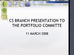 CS BRANCH PRESENTATION TO THE PORTFOLIO COMMITTE 11