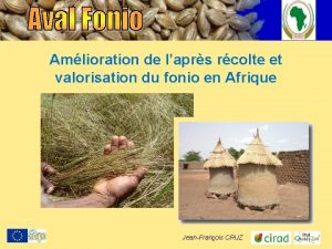 Amlioration de laprs rcolte et valorisation du fonio