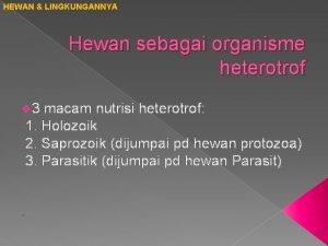 HEWAN LINGKUNGANNYA Hewan sebagai organisme heterotrof v 3