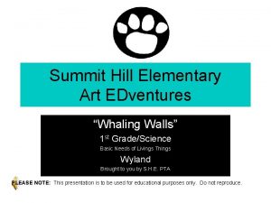 Summit Hill Elementary Art EDventures Whaling Walls 1