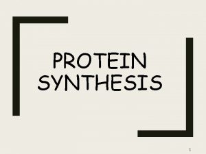 PROTEIN SYNTHESIS 1 DNA AND GENES DNA DNA