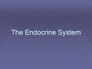 The Endocrine System 1 Endocrine system the bodys