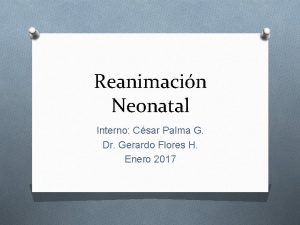 Reanimacin Neonatal Interno Csar Palma G Dr Gerardo