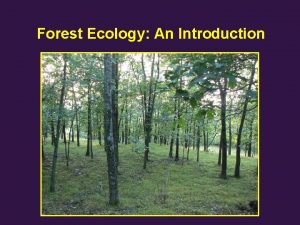 Forest Ecology An Introduction Temperate forest distribution and