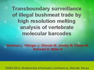 Transboundary surveillance of illegal bushmeat trade by high