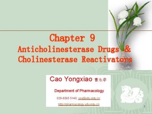 Chapter 9 Anticholinesterase Drugs Cholinesterase Reactivators Cao Yongxiao