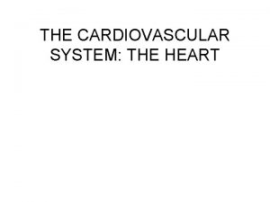 THE CARDIOVASCULAR SYSTEM THE HEART HEART LOCATION Size