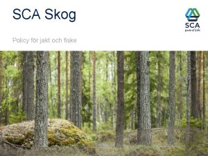 SCA Skog Policy fr jakt och fiske SCA