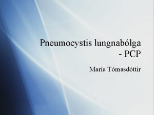 Pneumocystis lungnablga PCP Mara Tmasdttir Pneumocystis Upphaflega tali