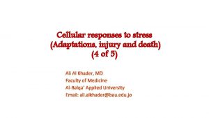 Cellular responses to stress Adaptations injury and death