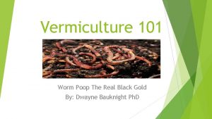 Vermiculture 101 Worm Poop The Real Black Gold