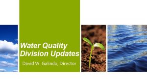 Water Quality Division Updates David W Galindo Director