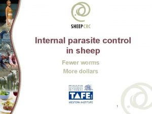 Internal parasite control in sheep Fewer worms More