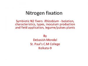 Nitrogen fixation Symbiotic N 2 fixers Rhizobium Isolation