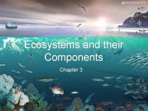 Ecosystems and their Components Chapter 3 Ecosystem Components