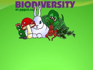 What is Biodiversity Biodiversity What is Biodiversity Biodiversity