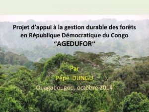 Projet dappui la gestion durable des forts en