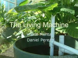 The Living Machine Vishal Mehta Daniel Perez http