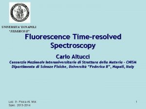 UNIVERSITA DI NAPOLI FEDERICO II Fluorescence Timeresolved Spectroscopy