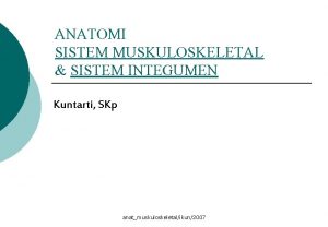 ANATOMI SISTEM MUSKULOSKELETAL SISTEM INTEGUMEN Kuntarti SKp anatmuskuloskeletalikun2007