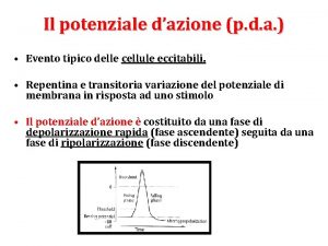 Il potenziale dazione p d a Evento tipico