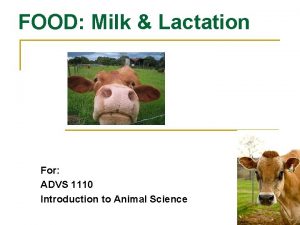 FOOD Milk Lactation For ADVS 1110 Introduction to
