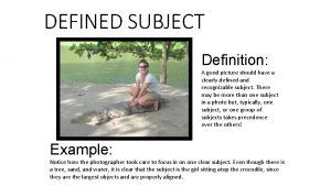 DEFINED SUBJECT Definition A good picture should have