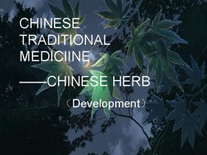 CHINESE TRADITIONAL MEDICIINE CHINESE HERB Development Development in