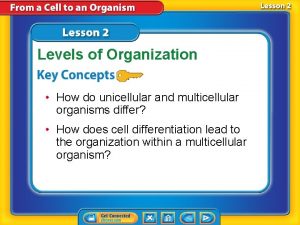 Levels of Organization How do unicellular and multicellular