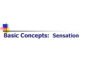 Basic Concepts Sensation Basic Principles of Sensation n