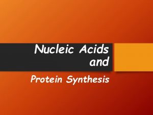 Nucleic Acids and Protein Synthesis Nucleic Acids DNA
