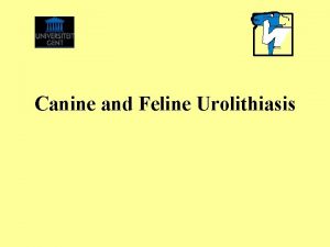 Canine and Feline Urolithiasis Canine and Feline Urolithiasis