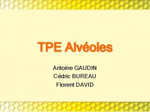 TPE Alvoles Antoine GAUDIN Cdric BUREAU Florent DAVID