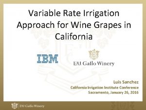 Variable Rate Irrigation Approach for Wine Grapes in