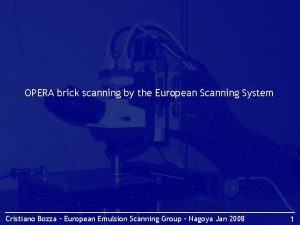 OPERA brick scanning by the European Scanning System