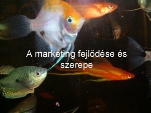 A marketing fejldse s szerepe AZ ELLTS FEJLDSE