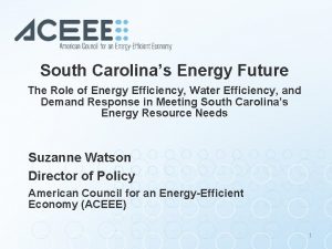 South Carolinas Energy Future The Role of Energy