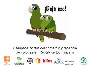 Campaa contra del comercio y tenencia de cotorras