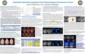 Quantitative Biomarker Imaging for Early Therapy Response Assessment
