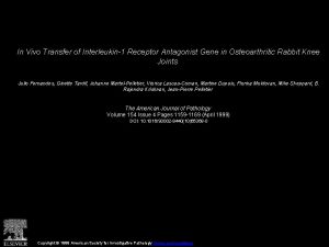 In Vivo Transfer of Interleukin1 Receptor Antagonist Gene