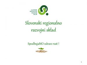 Slovenski regionalno razvojni sklad Spodbuja MO zdravo rast