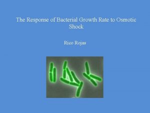 The Response of Bacterial Growth Rate to Osmotic