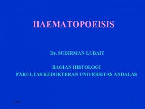 HAEMATOPOEISIS Dr SUDIRMAN LUBAIT BAGIAN HISTOLOGI FAKULTAS KEDOKTERAN