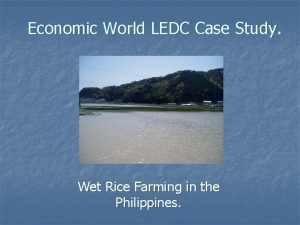 Economic World LEDC Case Study Wet Rice Farming
