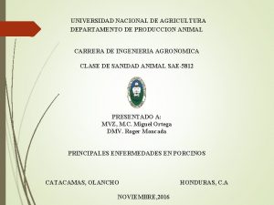 UNIVERSIDAD NACIONAL DE AGRICULTURA DEPARTAMENTO DE PRODUCCION ANIMAL