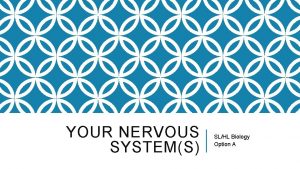 YOUR NERVOUS SYSTEMS SLHL Biology Option A YOUR