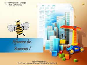 coala Gimnazial Onceti Jud Maramure Afacere de Success